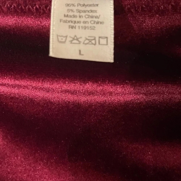 JASON WU Cheeky Velvet Lace Panties, Burgundy, L, NWT (Matching bra available) - Picture 8 of 12